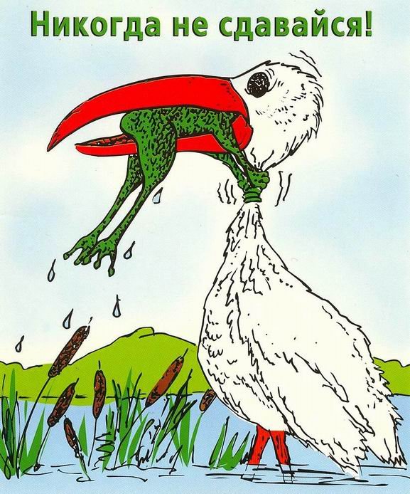 �� ��������.jpg